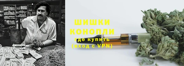 гашик Горняк
