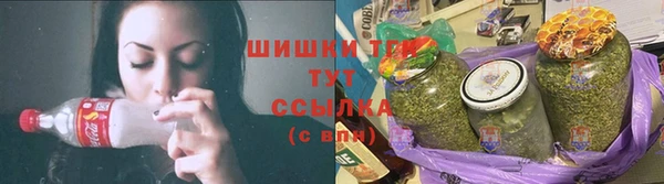 гидра Горнозаводск