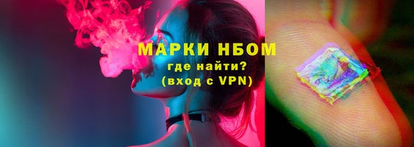 гашик Горняк