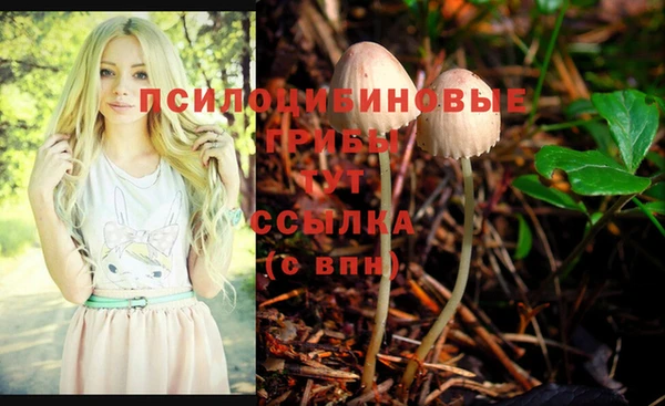 каннабис Гусь-Хрустальный