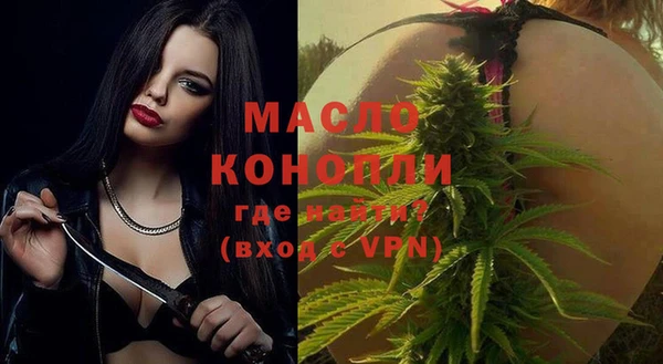гашик Горняк