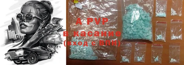 apvp Гусиноозёрск