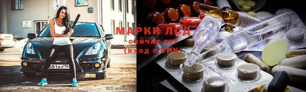 стафф Гусев