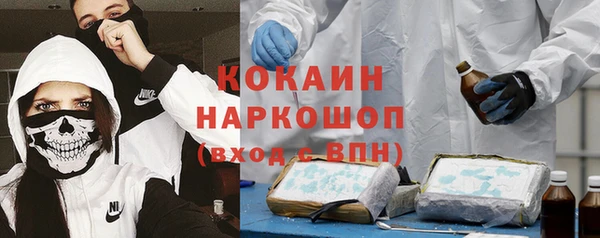 гидра Горнозаводск