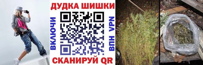Купить где  Правдинск  Канабис THC 21% 